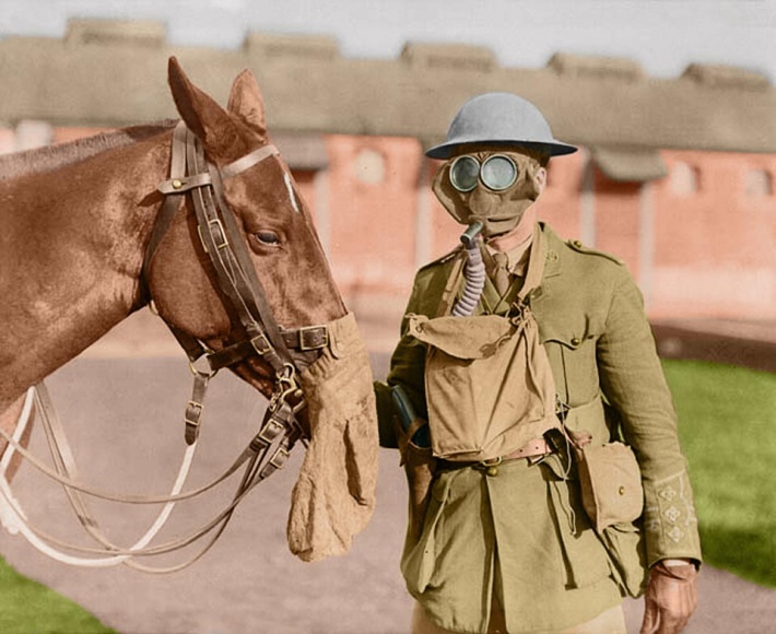 2 soldier horse gas masks canadian army veterinary corps ww1 colour
