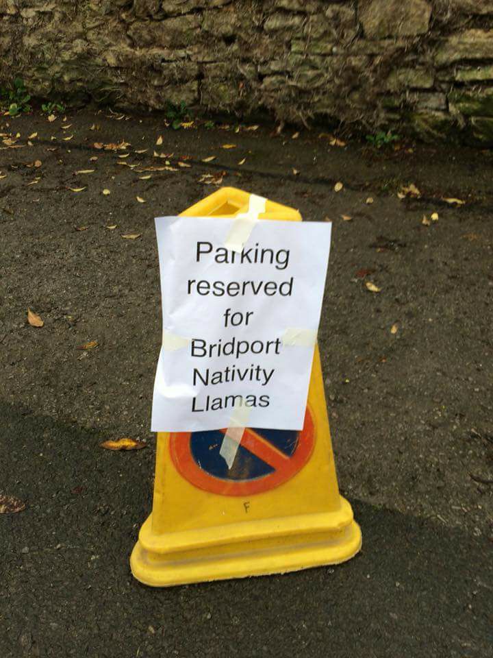 Don't park here 1 25659822 10208360062197618 9036596662890292711 n