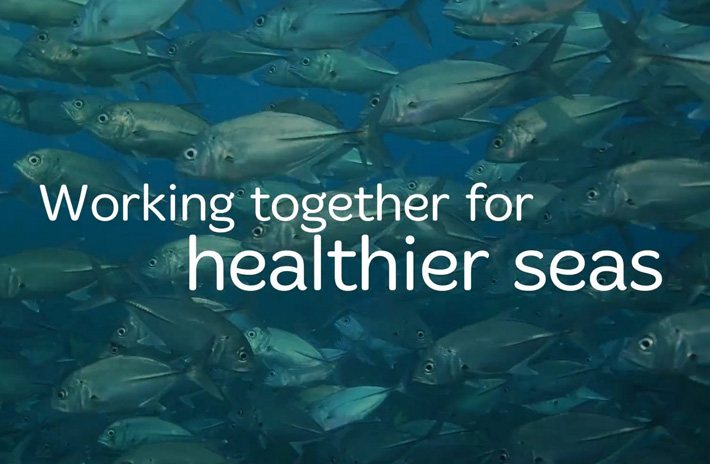 Sustainable Seafood Coalition website by Fluffytech