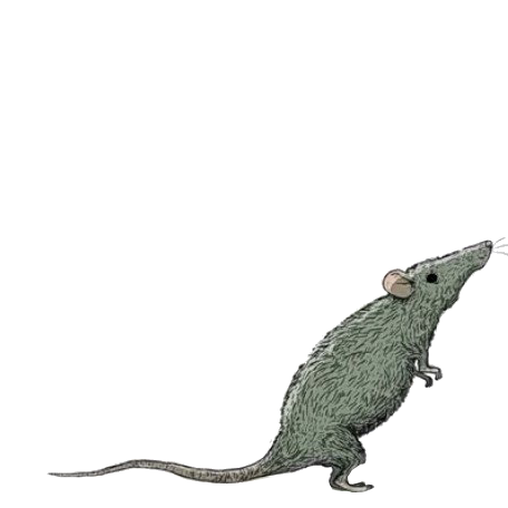 Steve Cutts rat from the film 'Happiness'